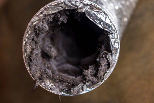 Best Affordable Air Duct Cleaning  in Jasper, FL